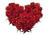 اضغط على الصورة لعرض أكبر. 

الإسم:	Red Roses Heart-839609.jpg 
مشاهدات:	450 
الحجم:	16.7 كيلوبايت 
الهوية:	173