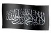 اضغط على الصورة لعرض أكبر. 

الإسم:	rayat-alimam-nasirmohamed.jpg 
مشاهدات:	2094 
الحجم:	3.0 كيلوبايت 
الهوية:	2059