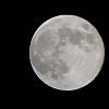 اضغط على الصورة لعرض أكبر. 

الإسم:	IMG-20200507-WA0032.jpg 
مشاهدات:	418 
الحجم:	86.3 كيلوبايت 
الهوية:	6351